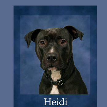 Heidi