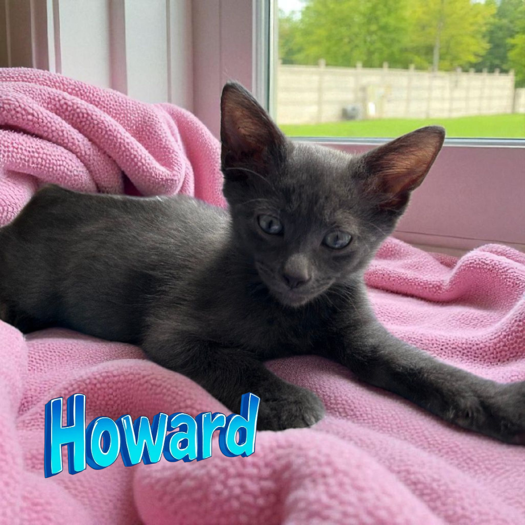 Howard