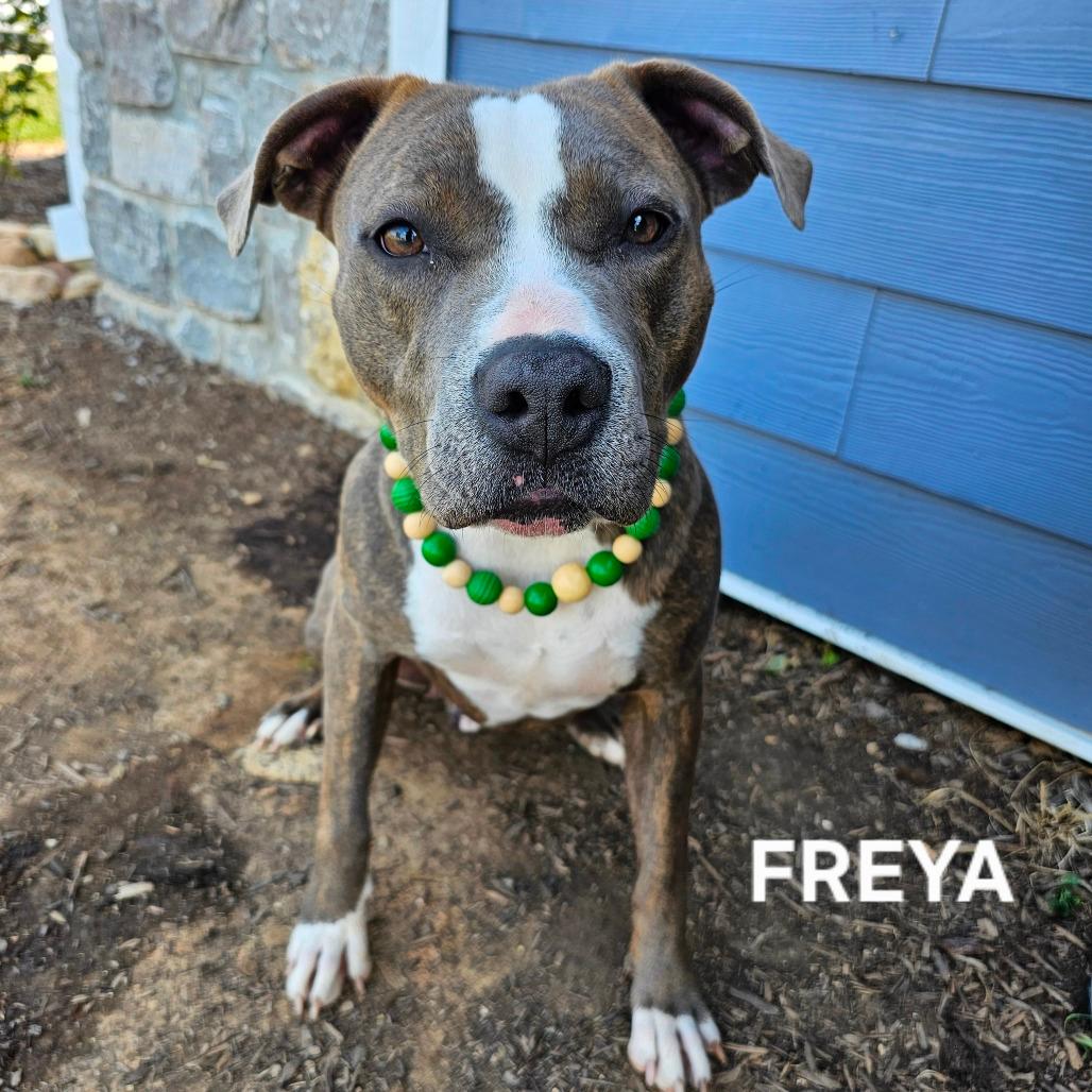 Freya