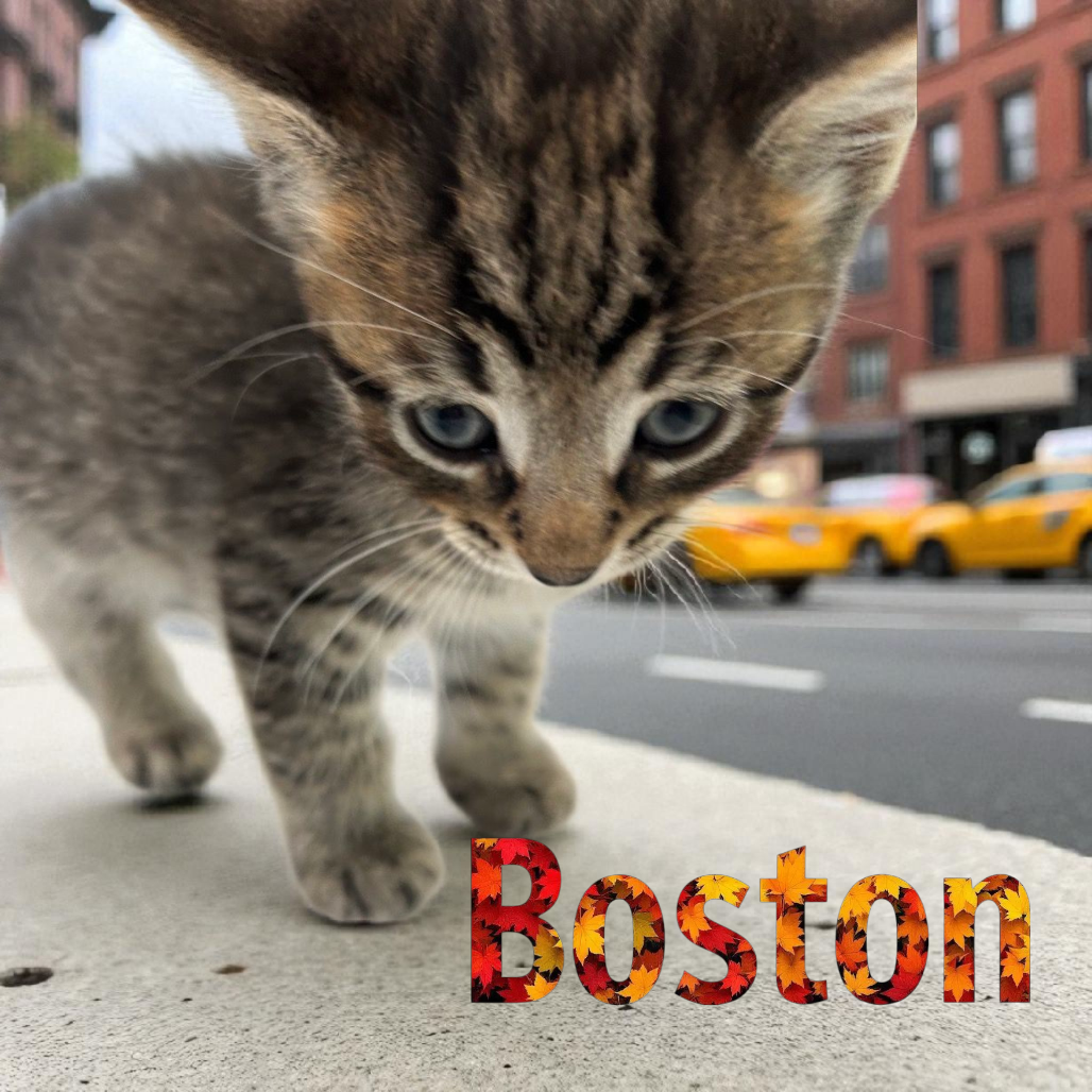 Boston