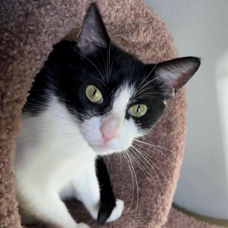 Selina (aka Scooter)