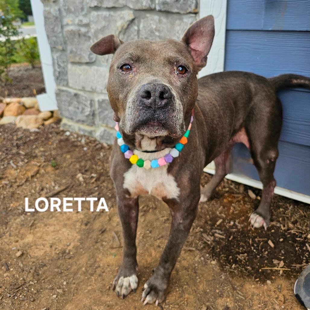 Loretta