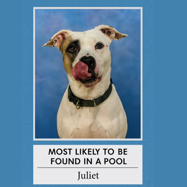 Juliet