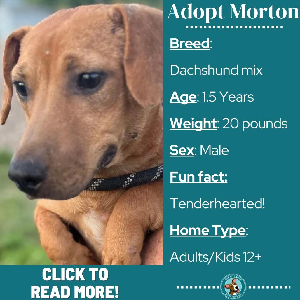 Morton