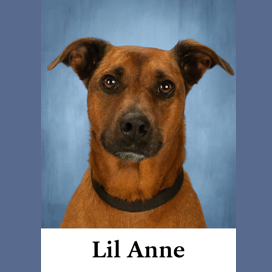 Lil Anne