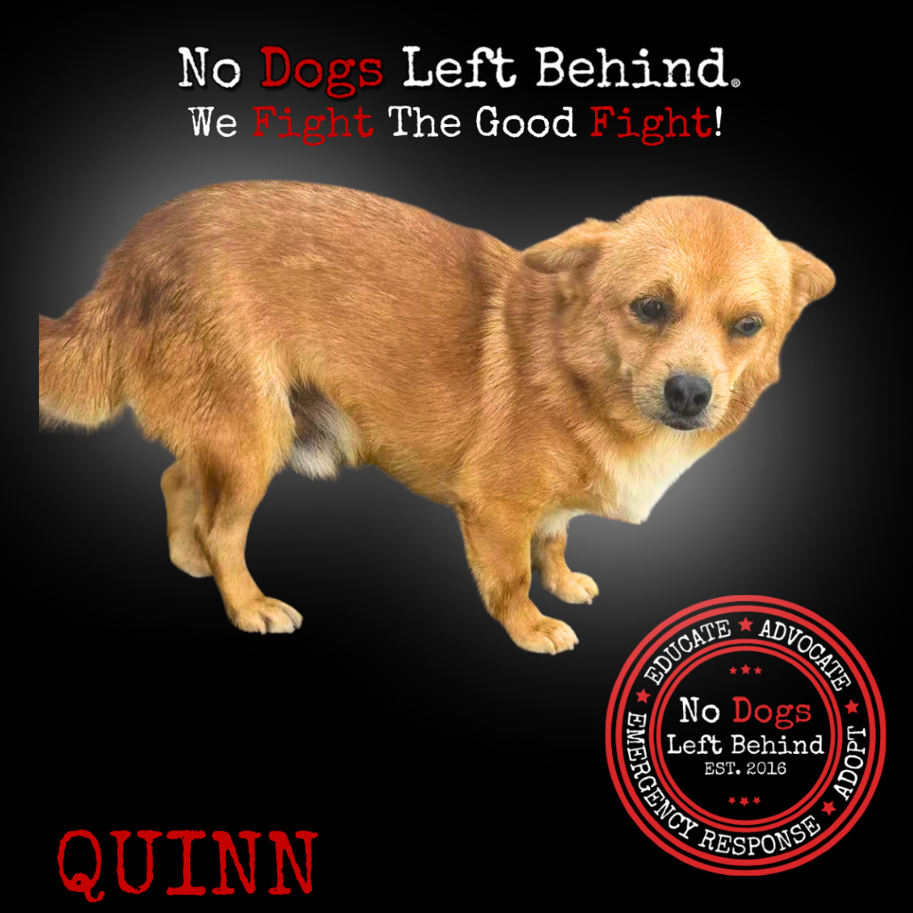 Quinn 9830