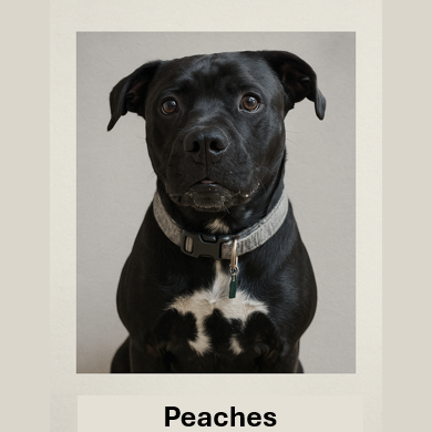 Peaches