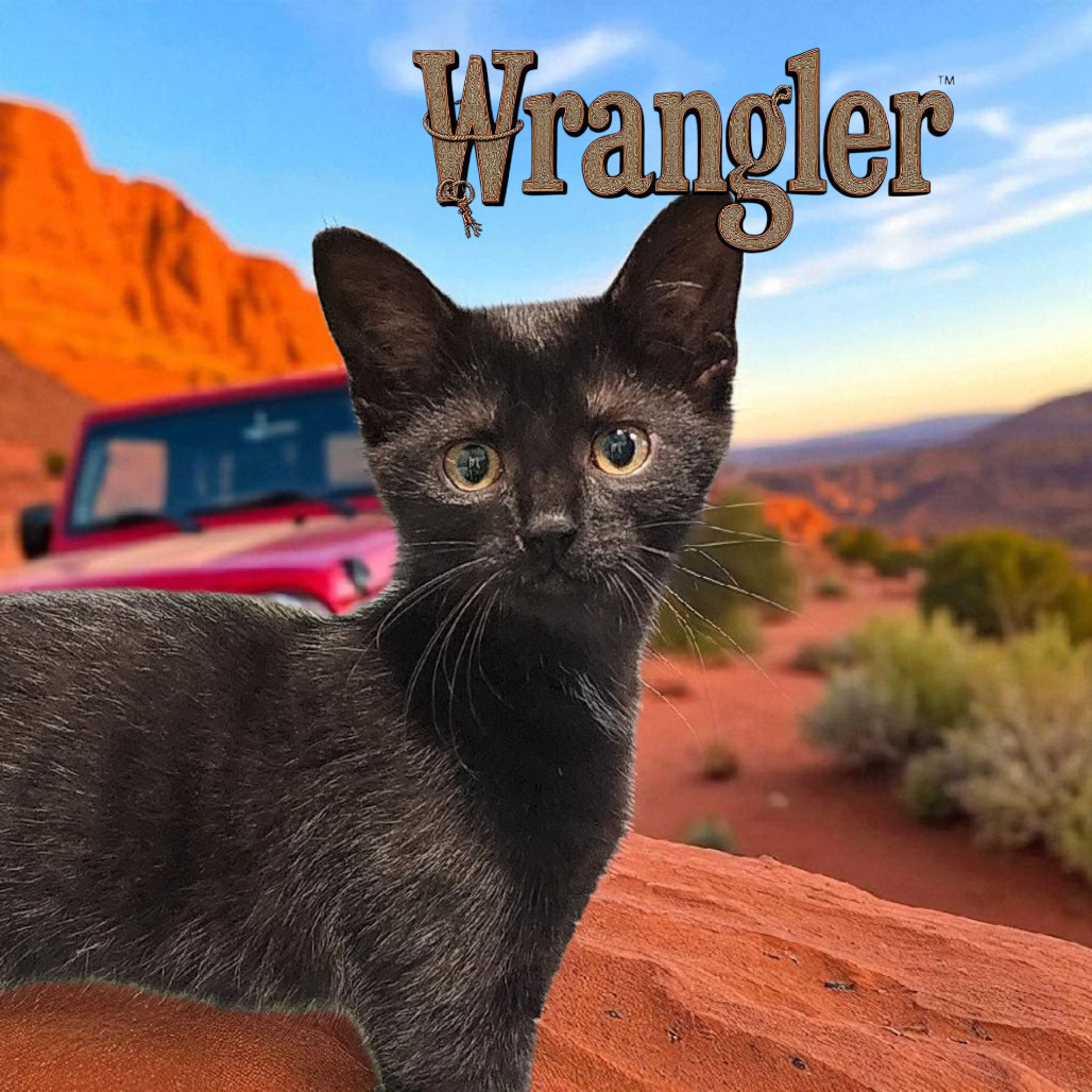 Wrangler