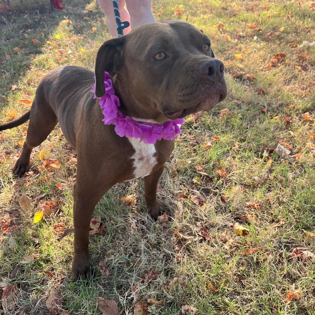 Penny
