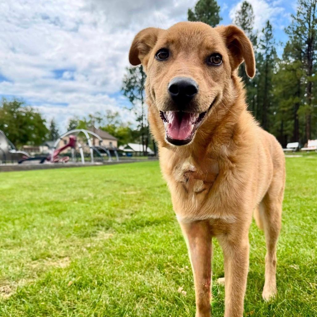 Sam