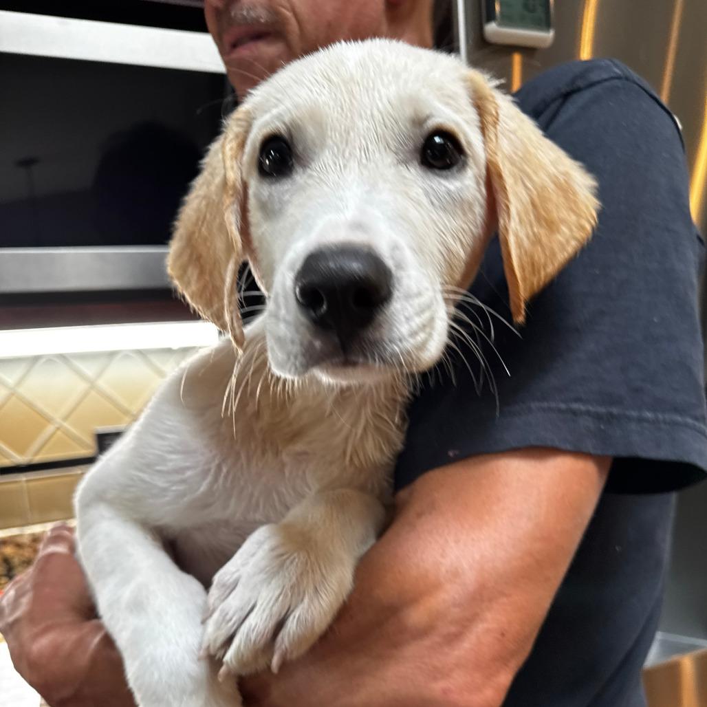NY Monty Avail Aug 26 (MTK Hotel Mount Kisco NY)
