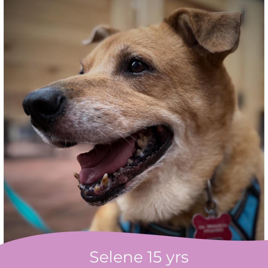 Selene