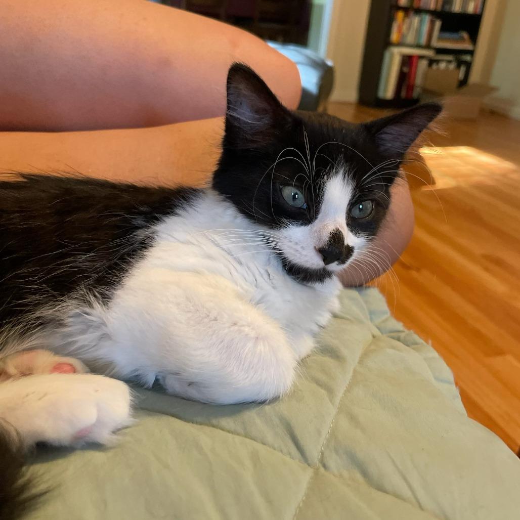 Cranberry-In Foster
