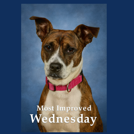 Wednesday