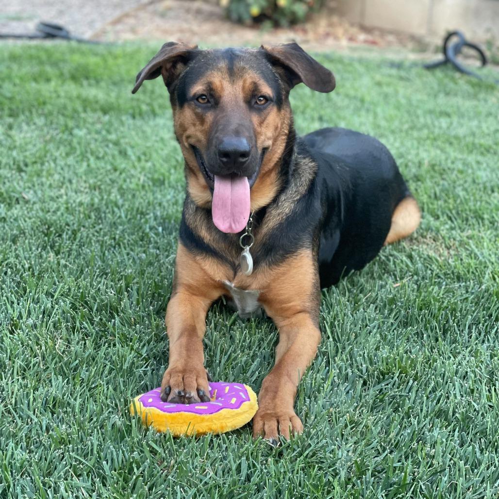 Pluto