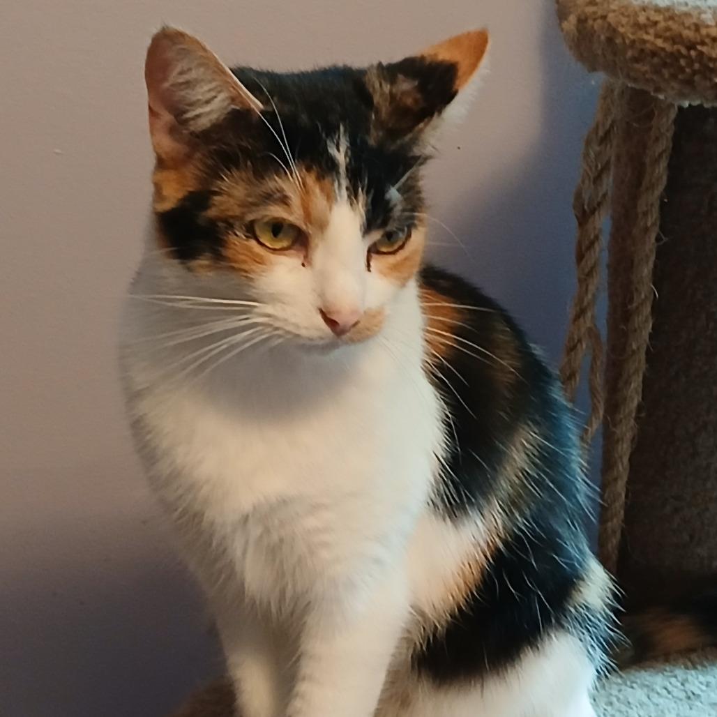Mindy
