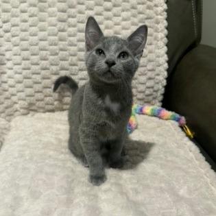 Nimbus