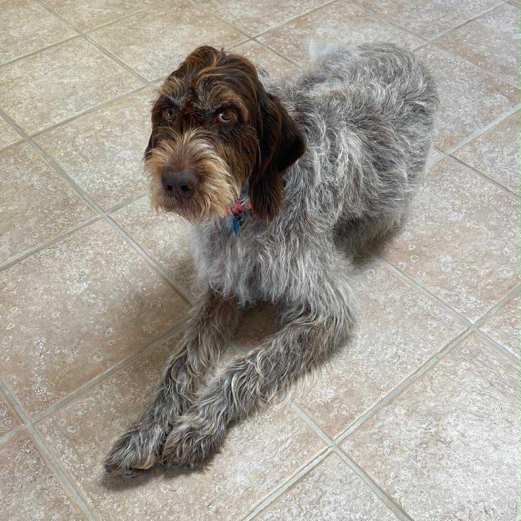 Sunnie (Oshkosh, Wisconsin)