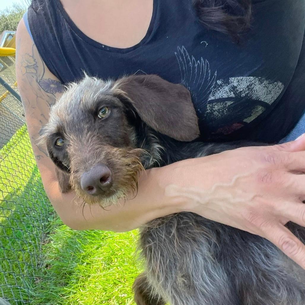 JJ (Lancaster, California)