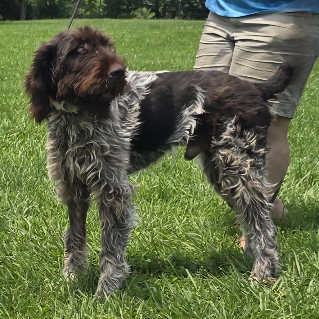 Roscoe (Wellston, Ohio)