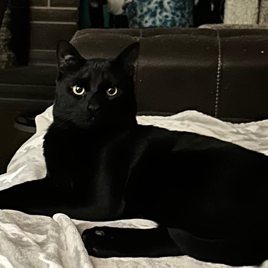 Binx