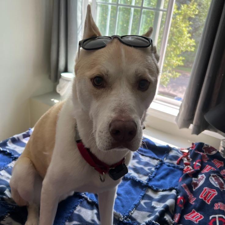 Max