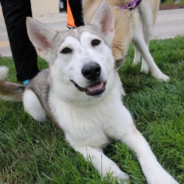 Tundra
