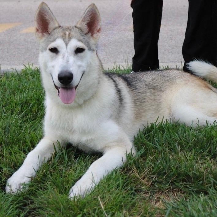 Tundra