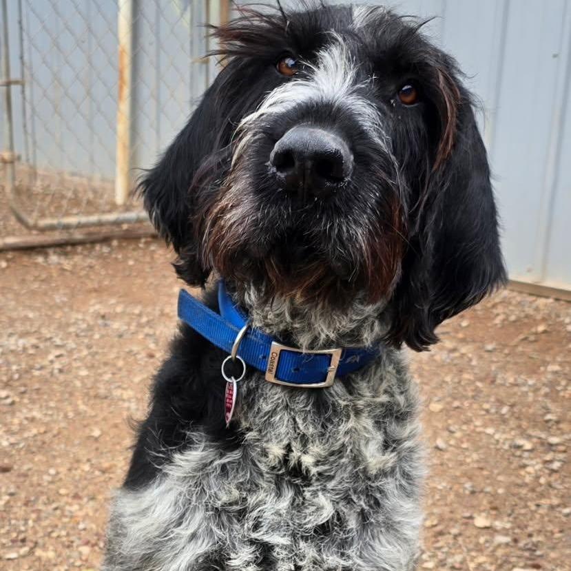 Blue (Wellston, Ohio)
