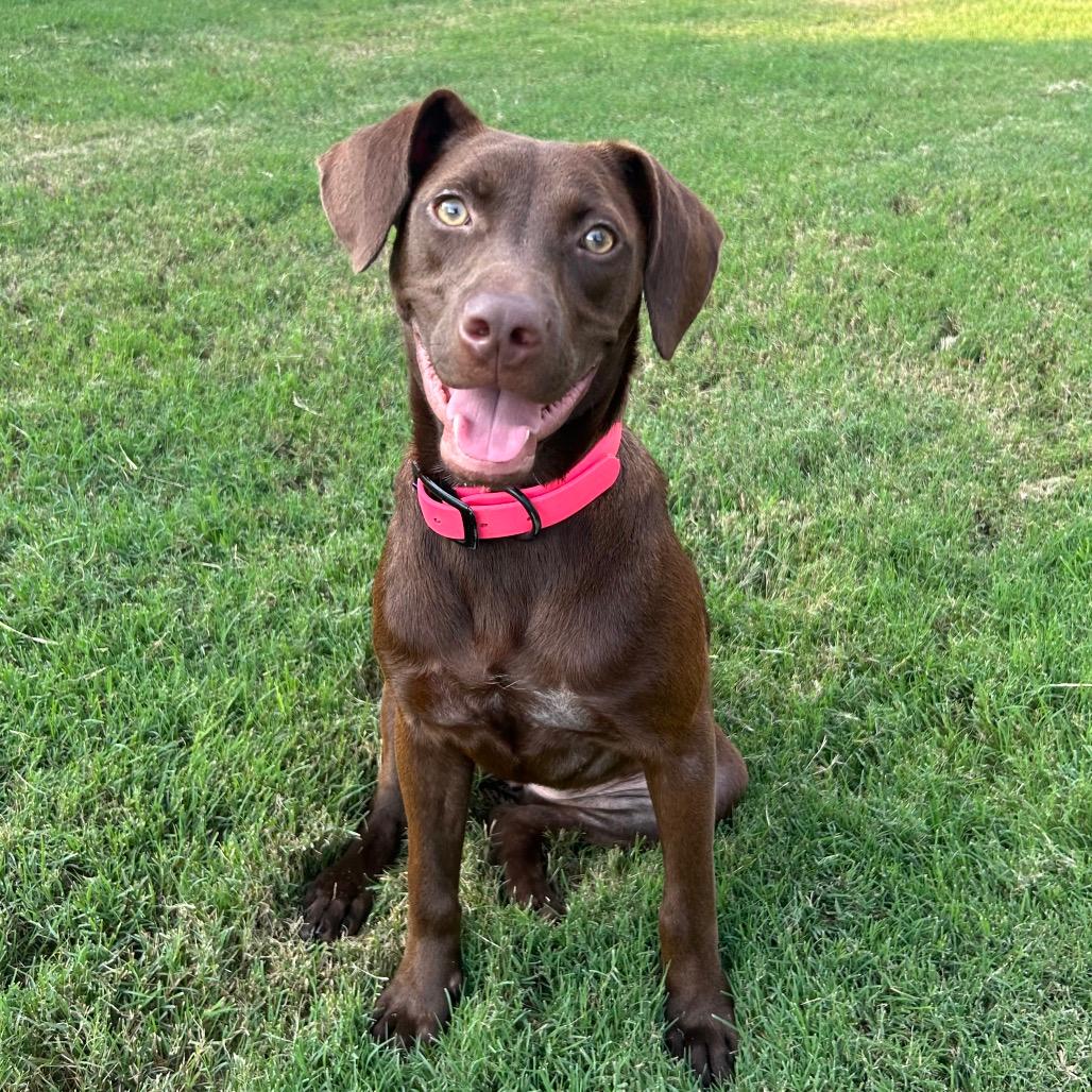 Josie
