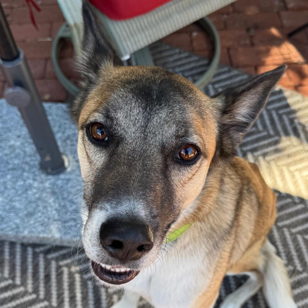Beau