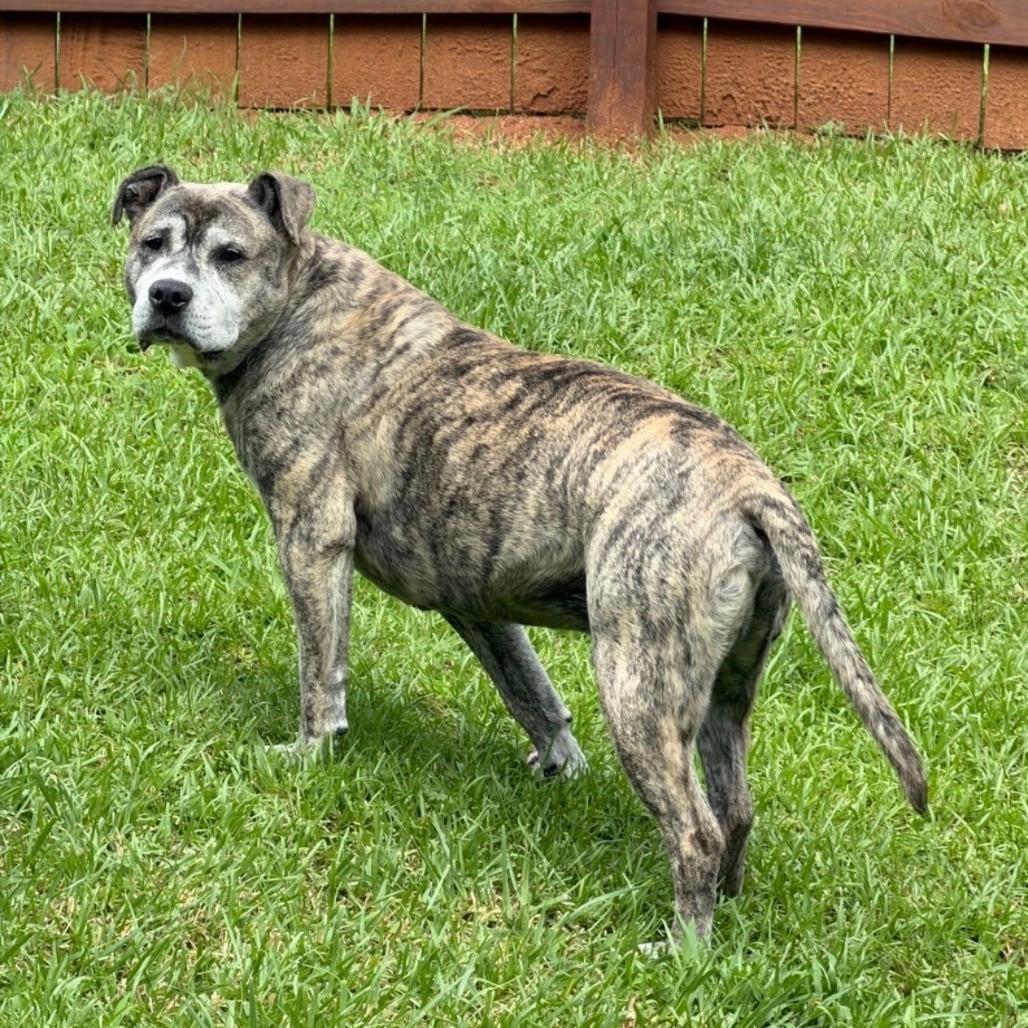 Duncan