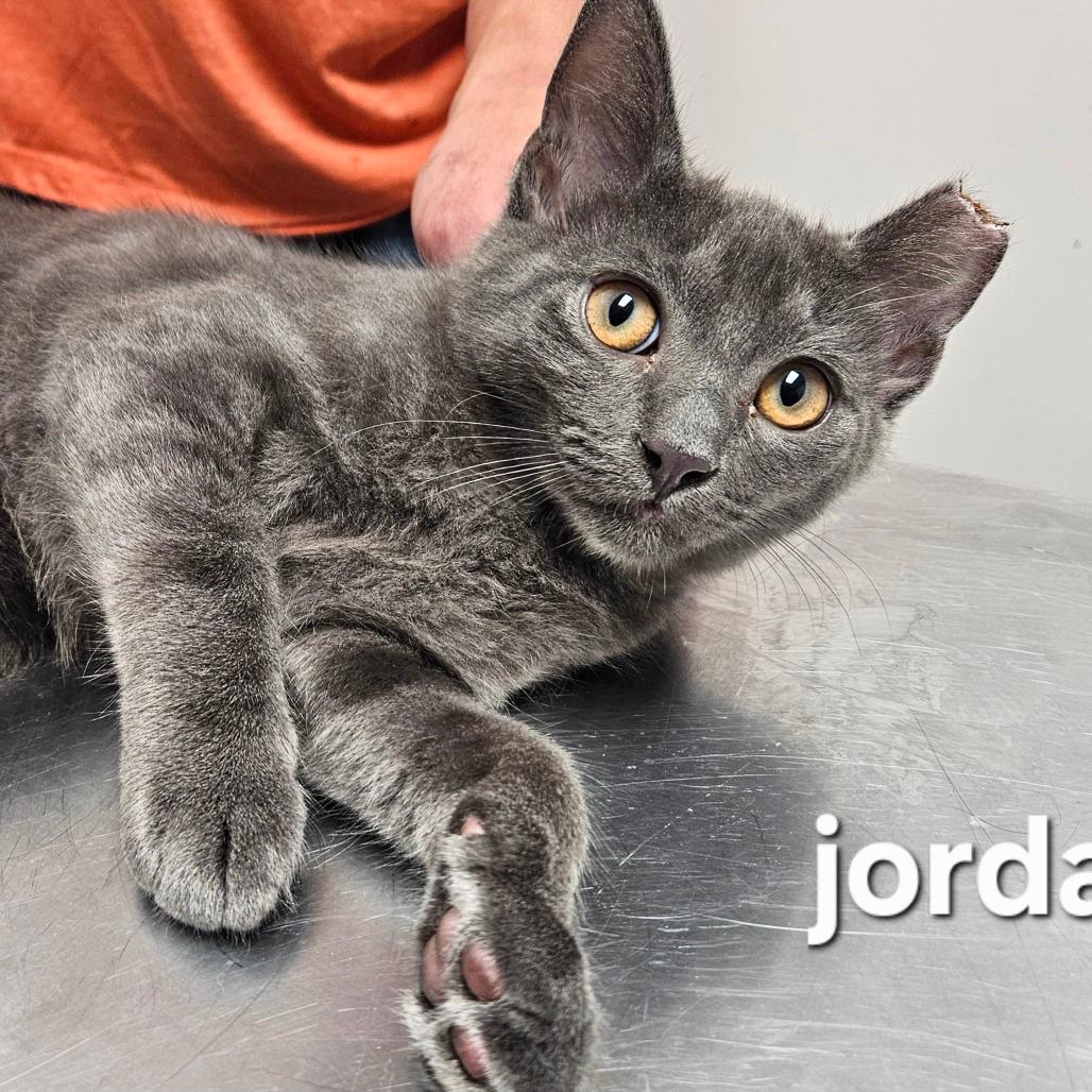Jordan