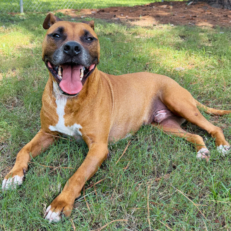 Rusty