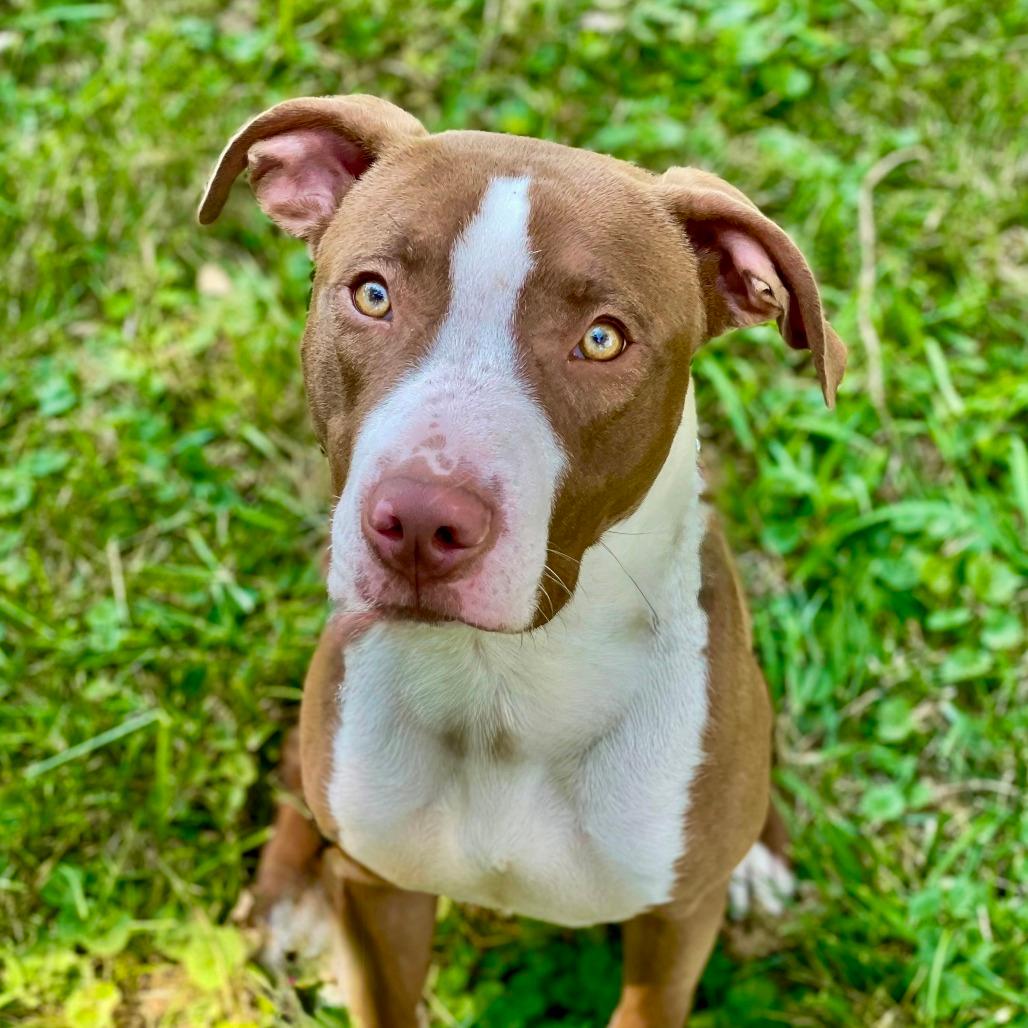 Leroy