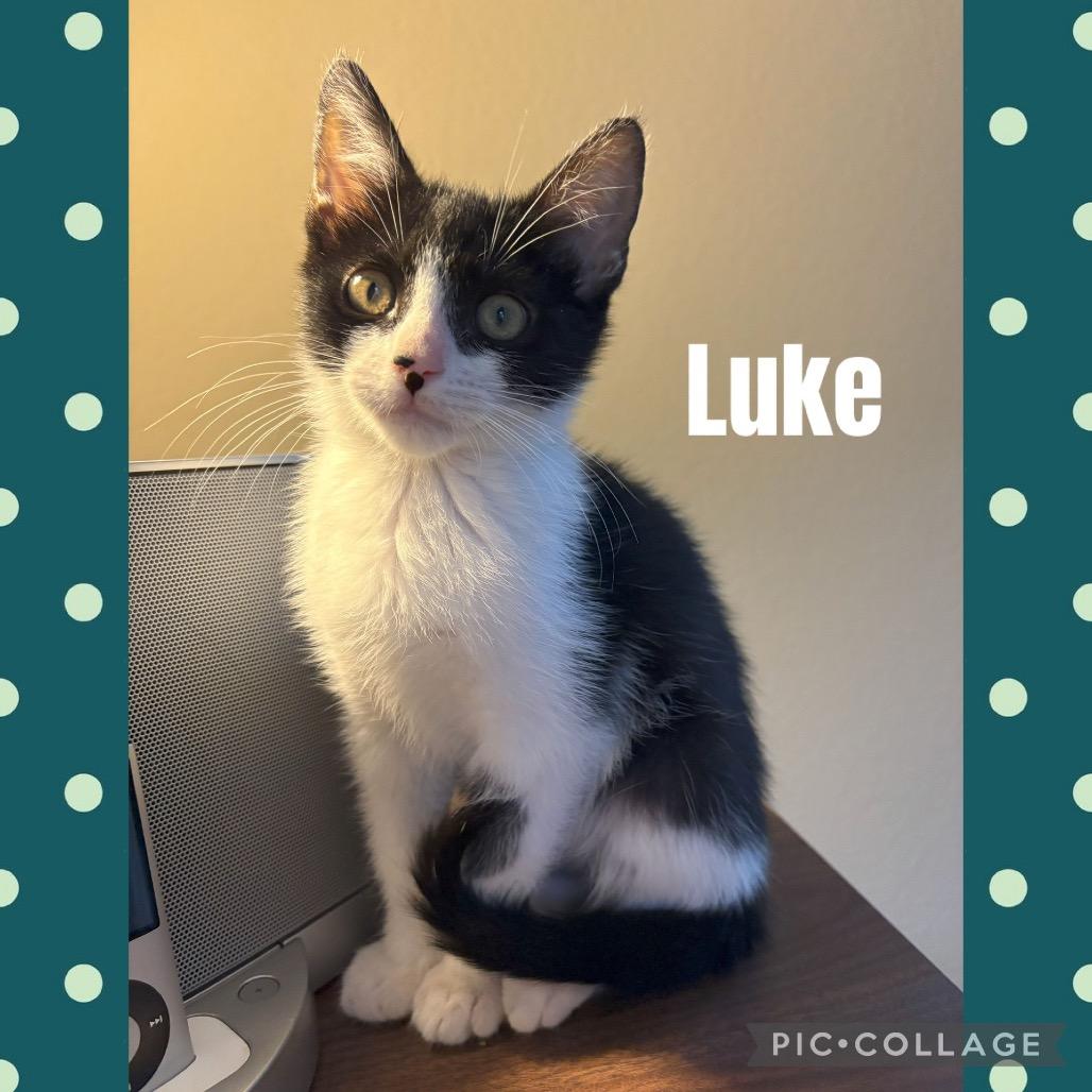 Luke