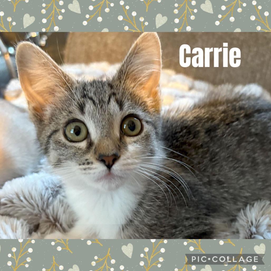Carrie
