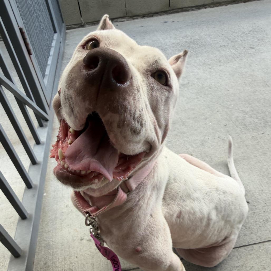 Fiona