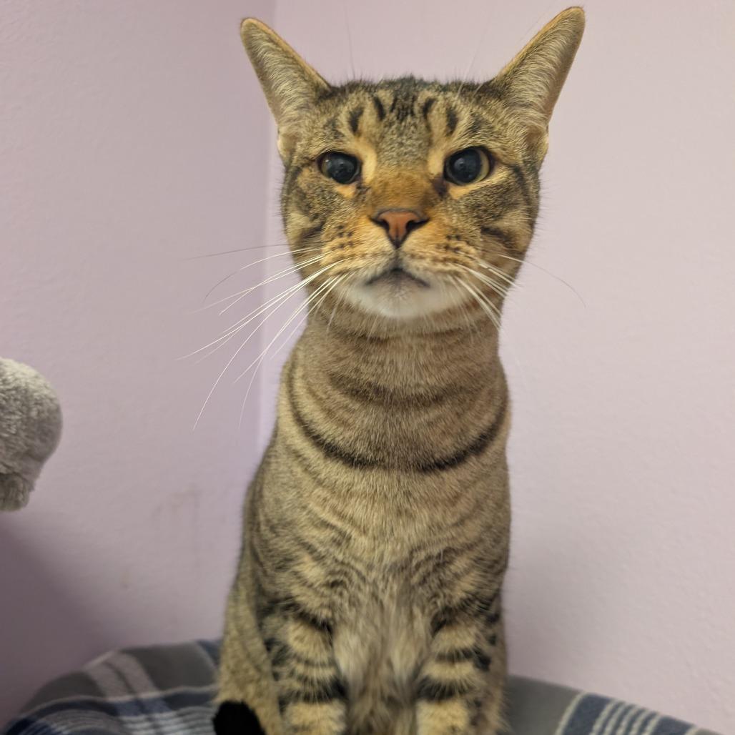 Luca