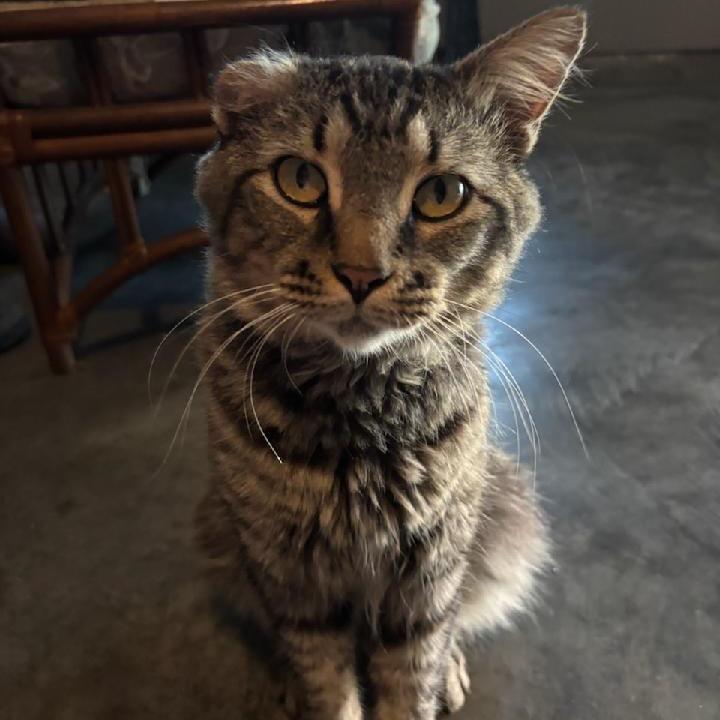 JR
