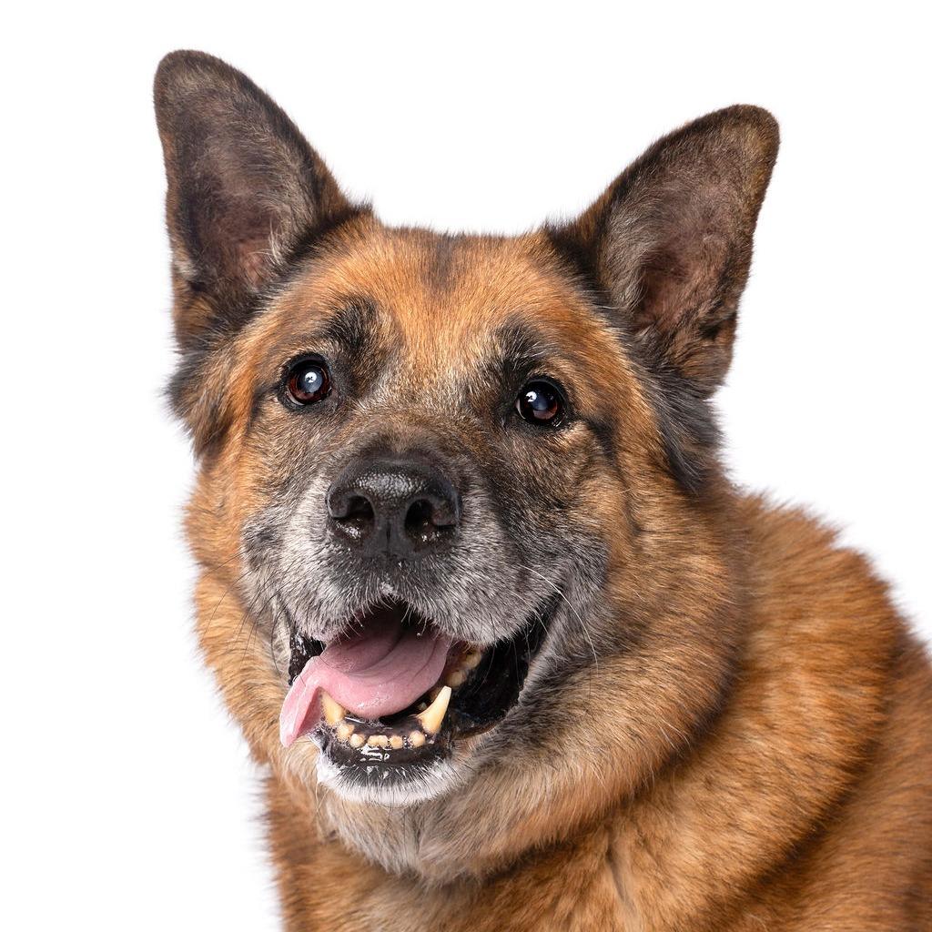Sampson
