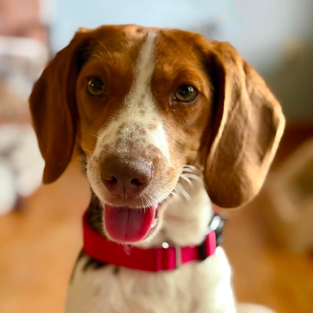 Freya
