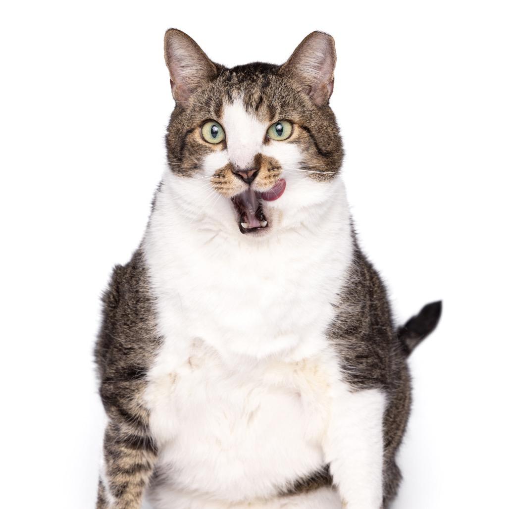 Stinker