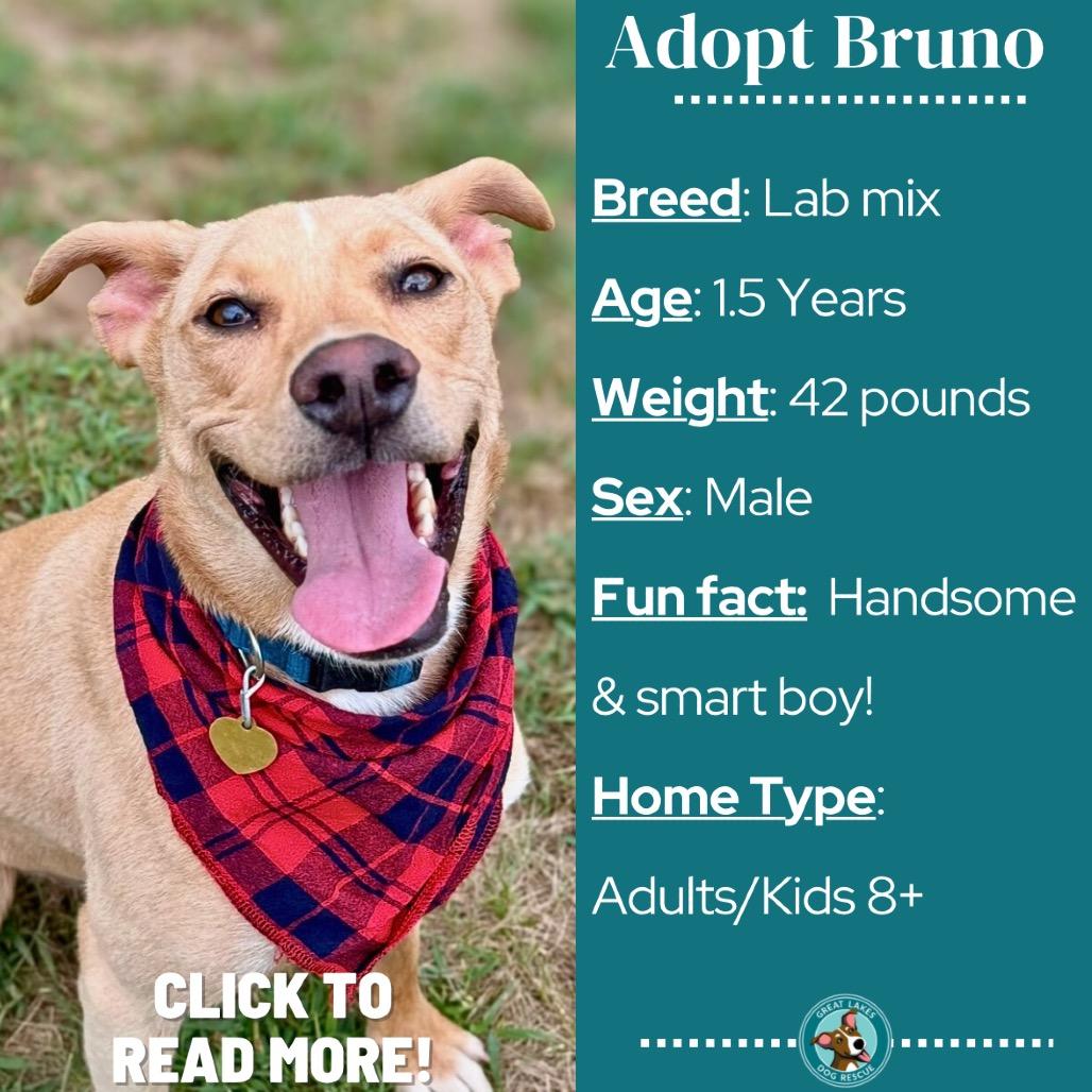 Bruno