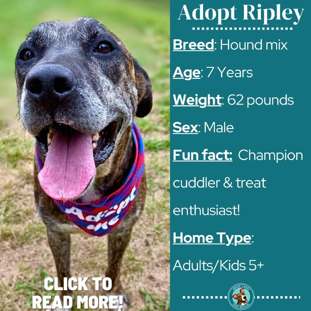 Ripley