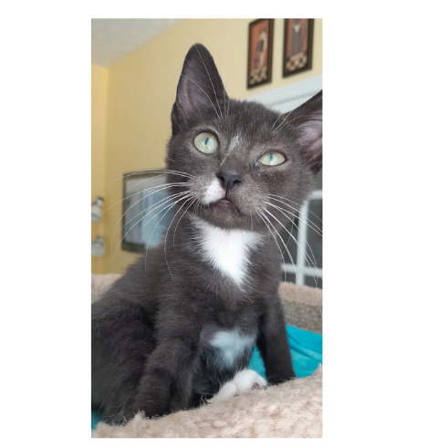 Eleanor