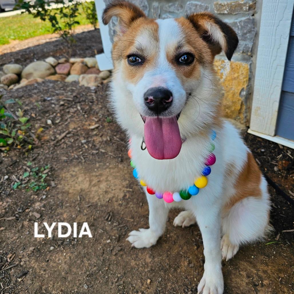 Lydia