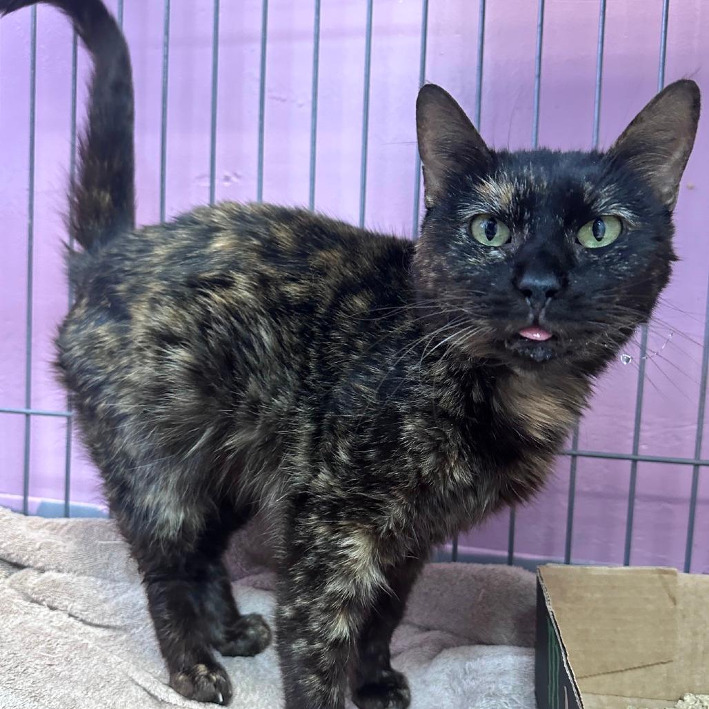 Marble (Matilda)
