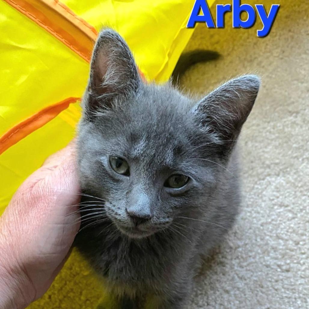 Arby