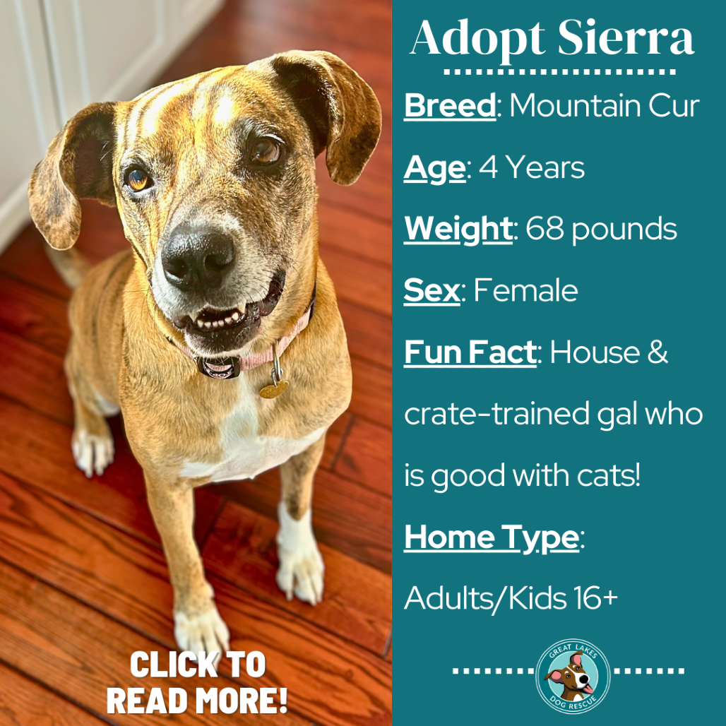 Sierra